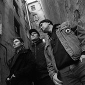 negative selection.jpg