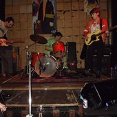 Blue Dolphin.jpg