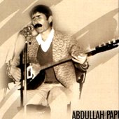 PAPUR