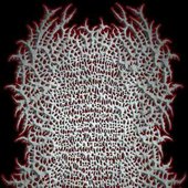 55 band logo