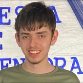 enzom40