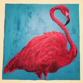 Flamingo
