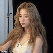 allyhater 的头像