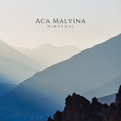 Aca Malvina