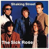Shaking Street