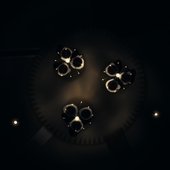 The Sun Will Devour The Moon That Will Breath The Arachnid Harmony of Doom