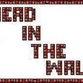Head In The Wall