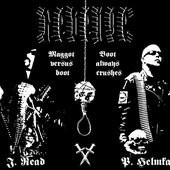 J. Read & P. Helmkamp