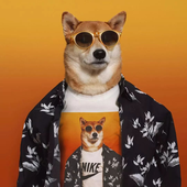 Ulimate_ 的头像