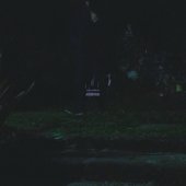 P e P e walking in garden at night