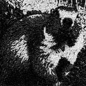 Wrathghast evil groundhog