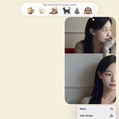 켈리 (Kelly).jpg