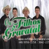 OS FILHOS DE GRAVATAL. CD2