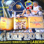 GRUPO LABERINTO DE CD. OBREGON SONORA MEX. BY DISCOS MUSART