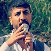 Fatih Bulut