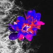 PETRICHOR