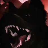 AC1DK9Z_ 的头像