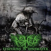 Festering In Bongwater