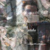26 Weeks band photo collage