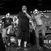 Big Fat Panda - Live at Specialized