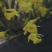 lucre cover art expanded