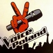 voice3
