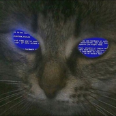 Avatar for HenningJr