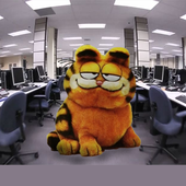 Awatar dla garfield_lovr