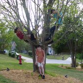 Secession Stand In Full, or The Band In And Around A Tree