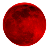 Avatar for MIKE07133170