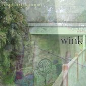 raspberry terrapin - wink