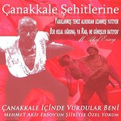 Çanakkale Şehitleri