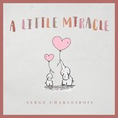 A Little Miracle