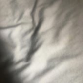 spine - Single