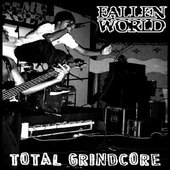 Fallen World
