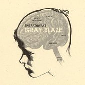 Gray Blaze