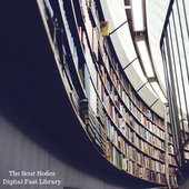Sour NodesDigital Fast Library (1).jpg