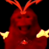 Avatar for bugwithabigass