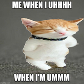 saddlerat1 的头像
