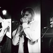 The Red Roosters