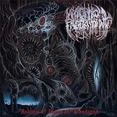 Realms Of Incessant Bloodshed