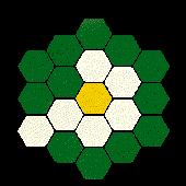 wildlifehexagon için avatar