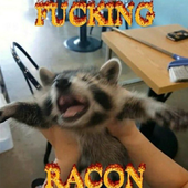 beehappylmao 的头像