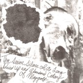 The Serine Silence of a Long Dried up and Abandoned Colony of Maggots