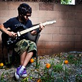 Burbank Backyard