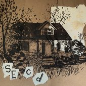 Seed - Single