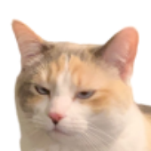 Avatar for sadstation