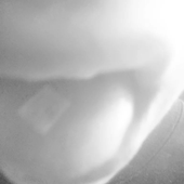 image_2023-12-28_111914385.png