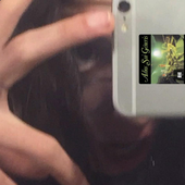 lolasolol 的头像