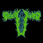 Ovoducto logo